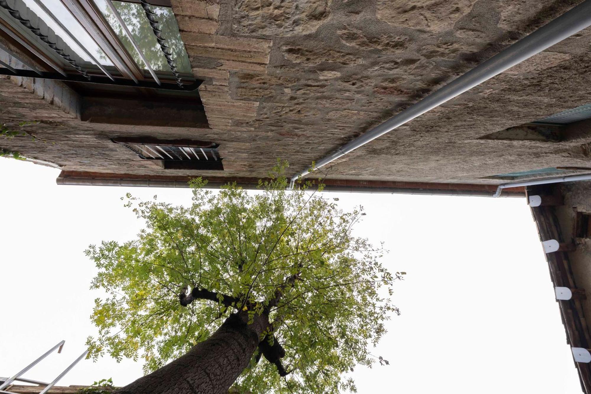 Hotel La Freixera Solsona Exterior foto